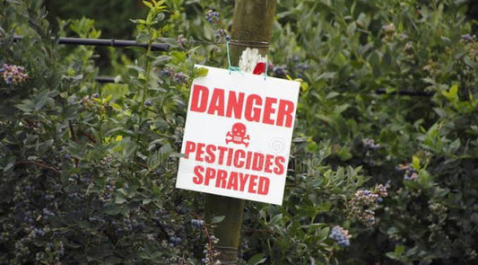 Decoding Pesticides: Impacts on Health and How to Safeguard Yourself