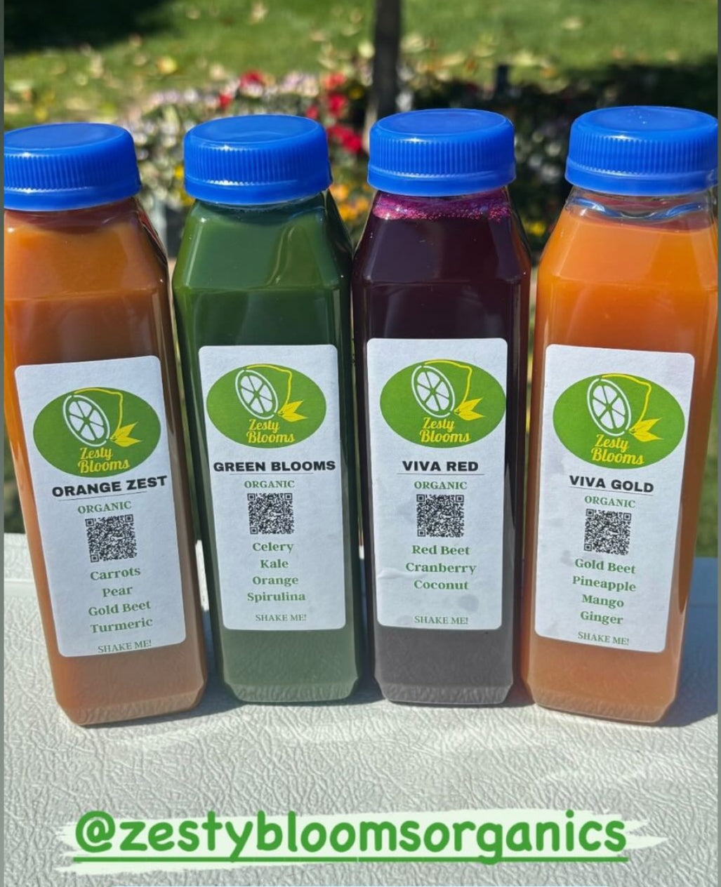 1 Day Detox